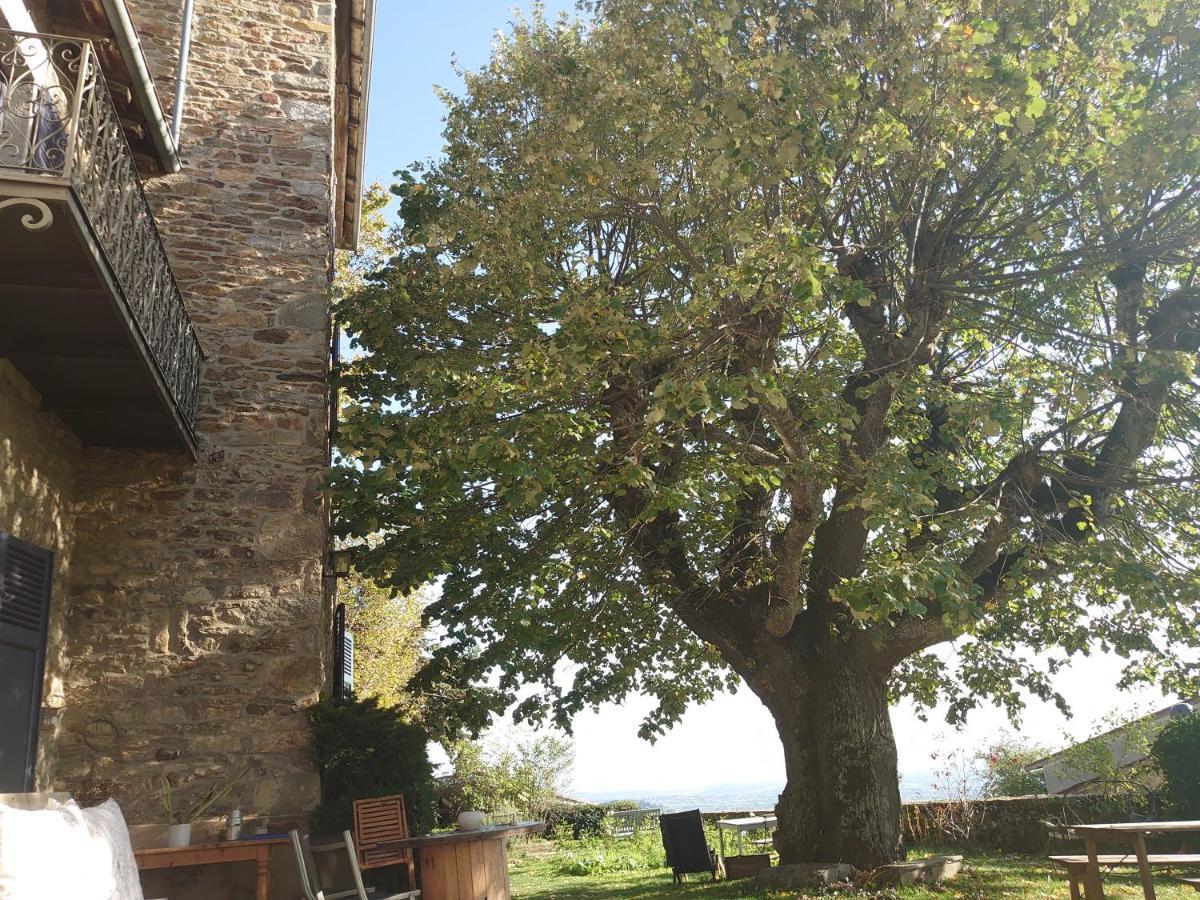 Chateau De Riverie Exterior foto