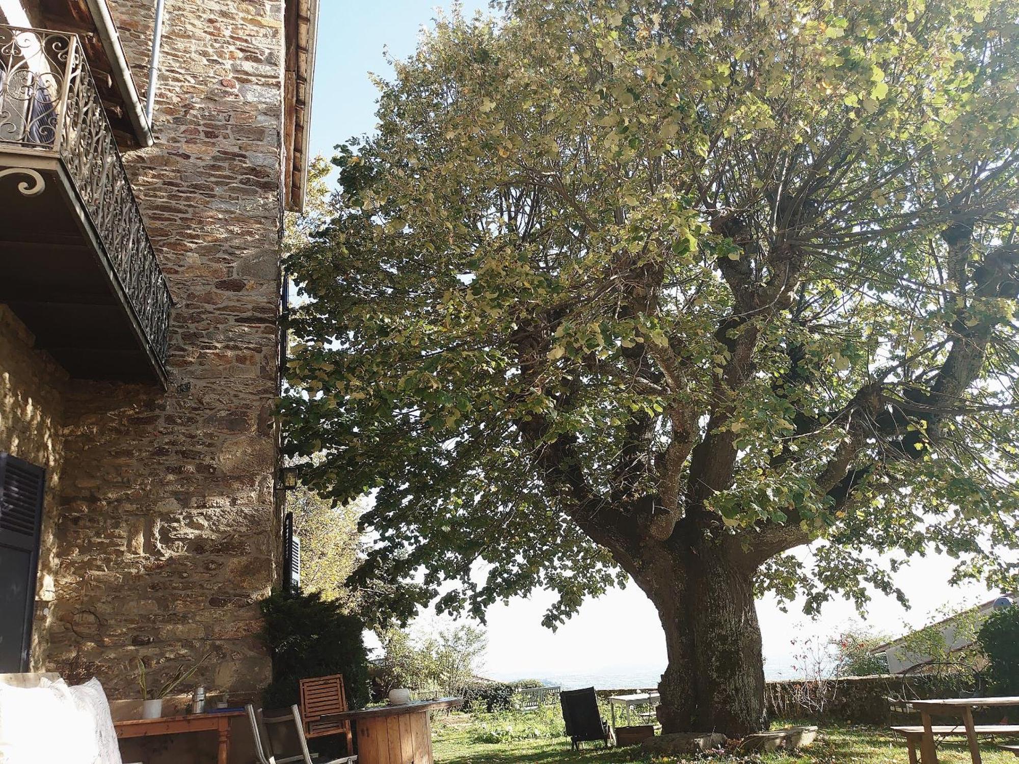Chateau De Riverie Exterior foto
